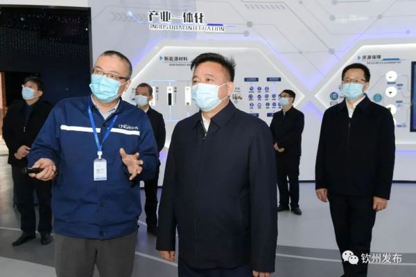 钦州市委书记林冠一行调研聚鑫汇钦州产业基地生产经营发展情况