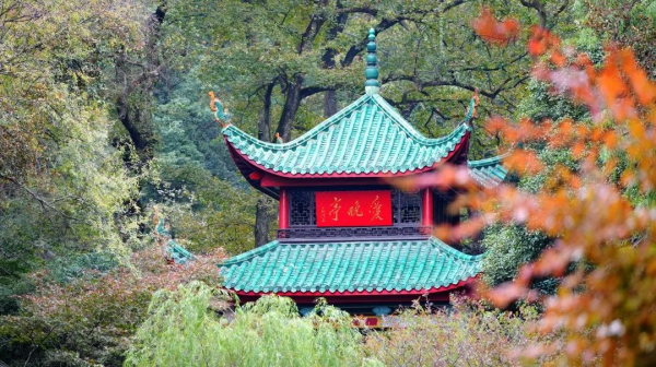 聚鑫汇